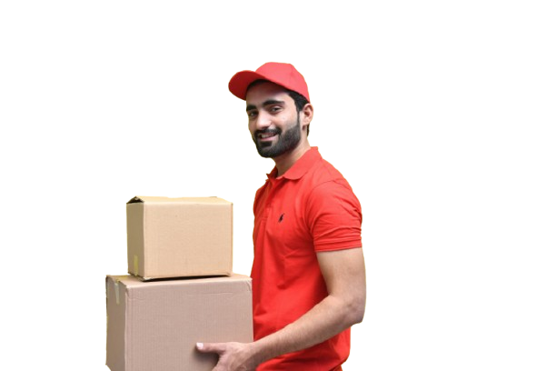 package-delivery-guy